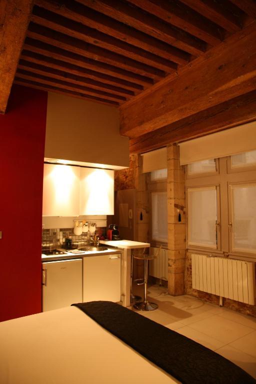 Loge Saint Jean Appartement Lyon Buitenkant foto